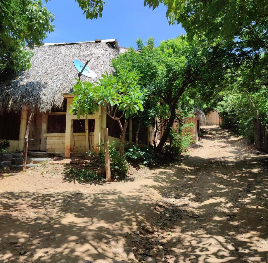 El Hostel De Ivanna มาซุนเต ภายนอก รูปภาพ