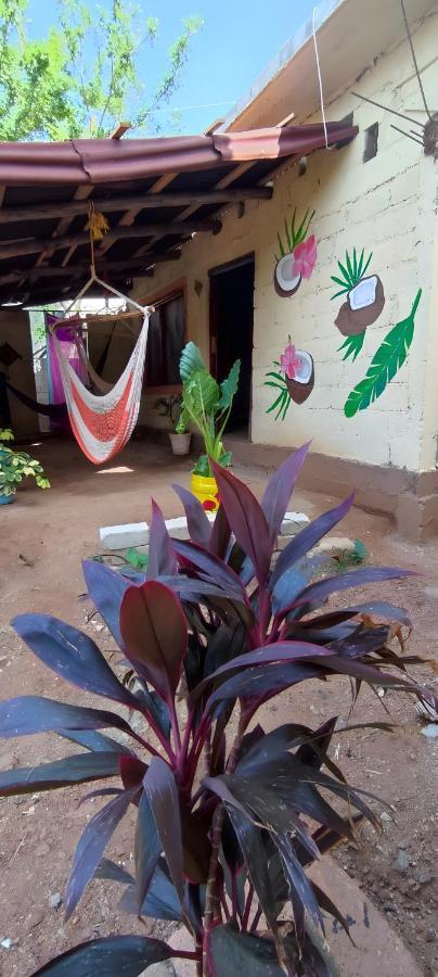 El Hostel De Ivanna มาซุนเต ภายนอก รูปภาพ