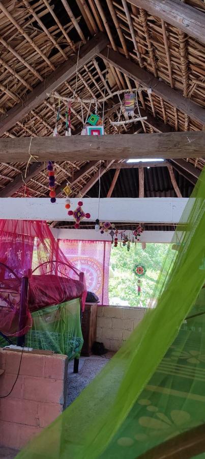 El Hostel De Ivanna มาซุนเต ภายนอก รูปภาพ